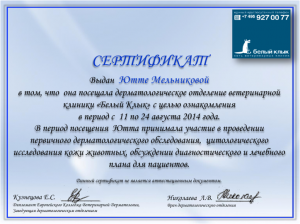 Сертификат БК рис