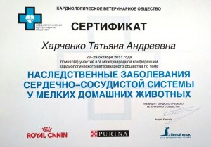 Татьяна сертификат 1